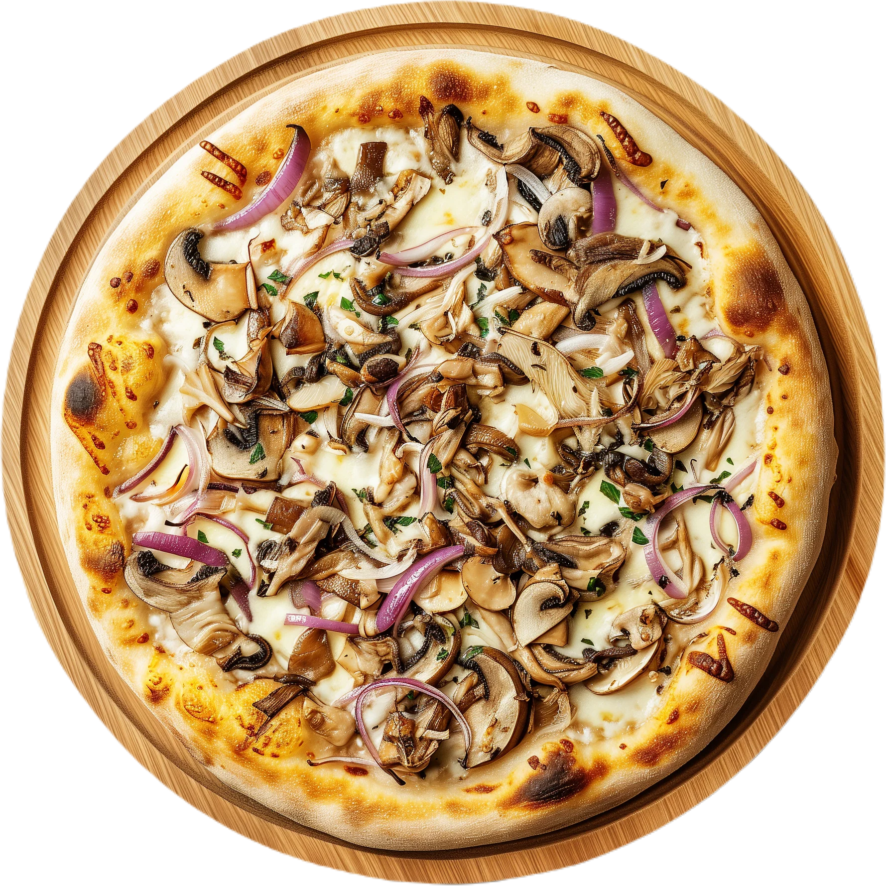 Snow White mushroom pizza on Alfredo